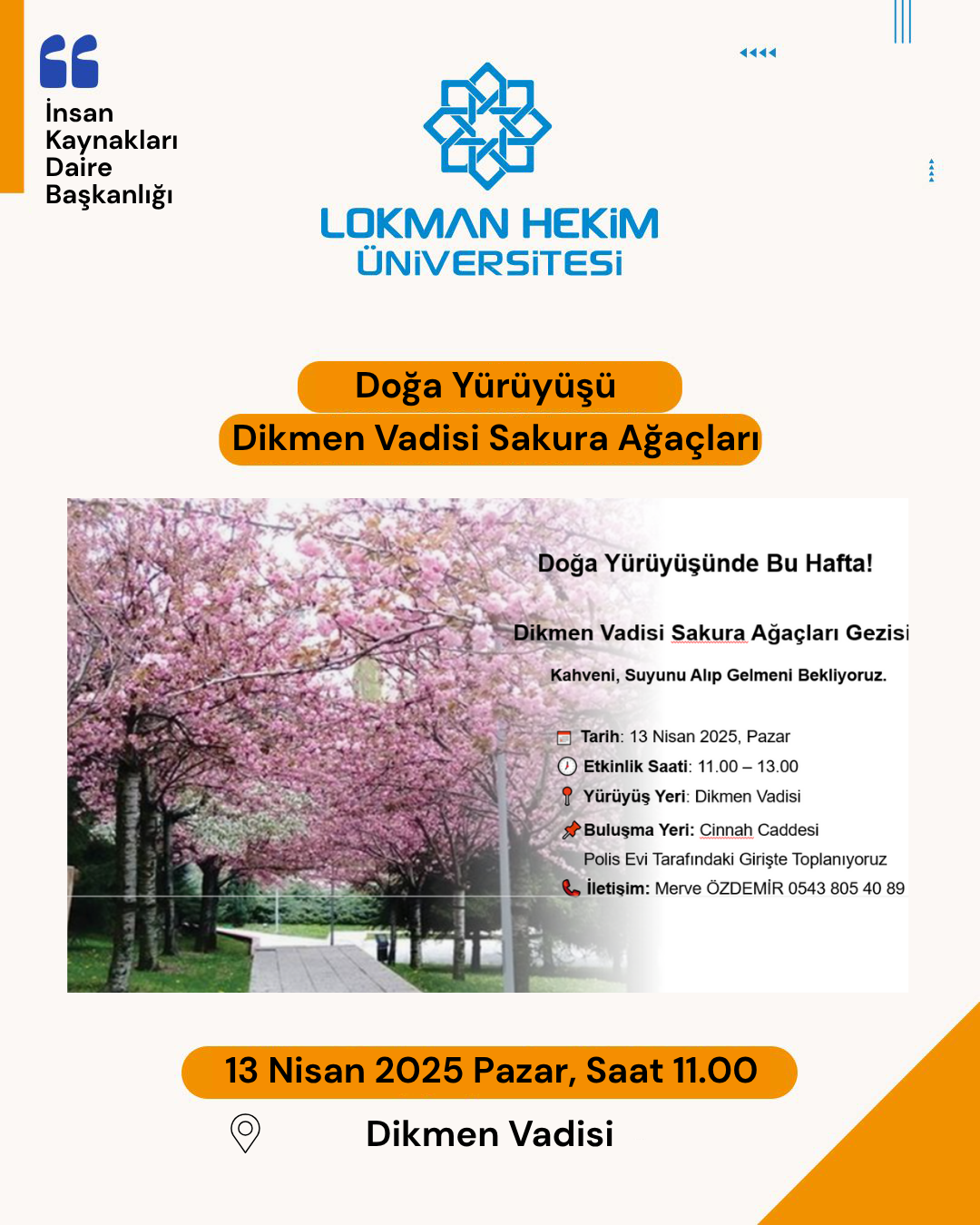 Doğa Yürüyüşü, Dikmen Vadisi Sakura Ağaçları