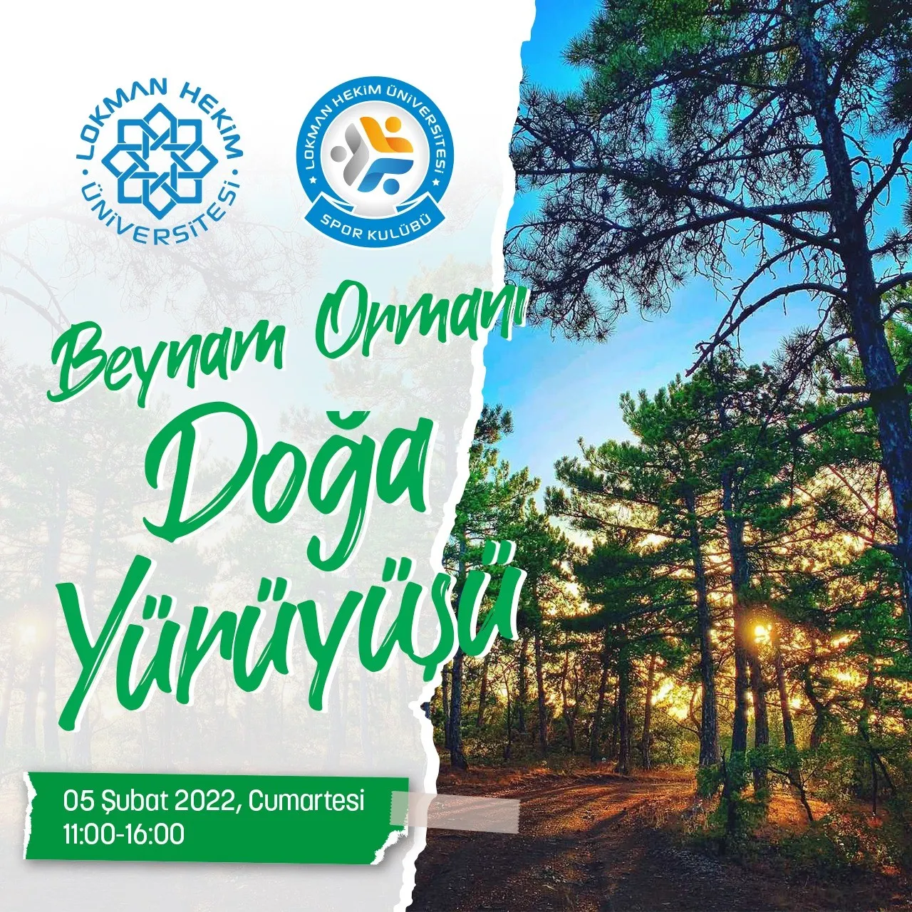 Beynam Ormanı Doğa Yürüyüşü
