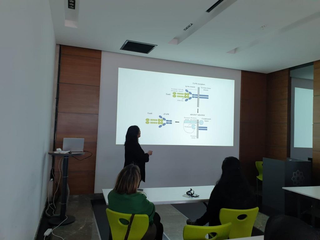 Growth Arrest Spesıfıc Proteın 6 (Gas6)- Axl Sinyal Yolağı Semineri Gerçekleştirildi